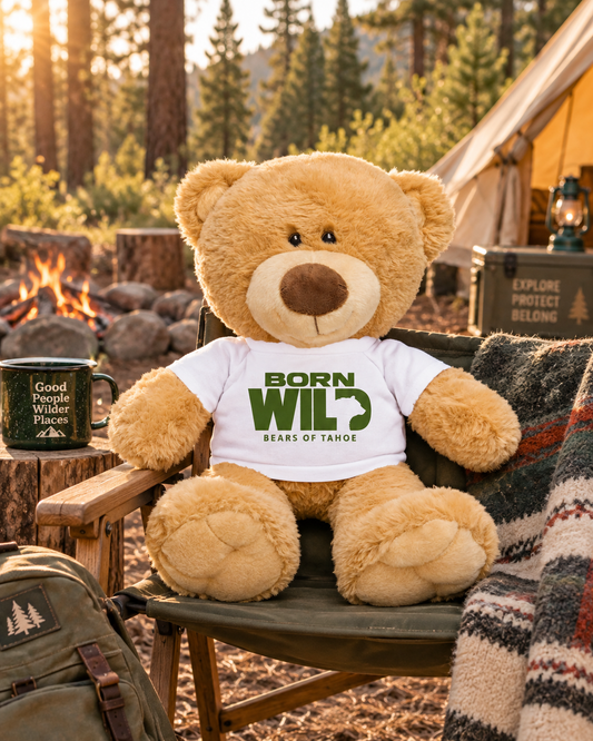Bears of Tahoe™  Adventure Bear