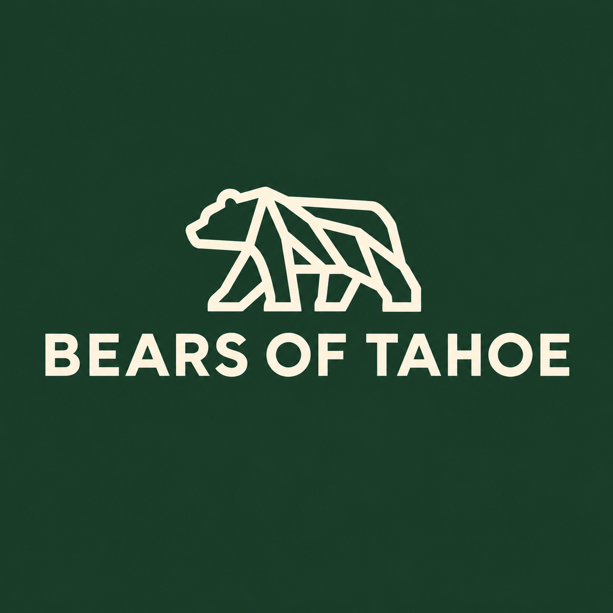 Bears of Tahoe™ Coastal Washed Cap